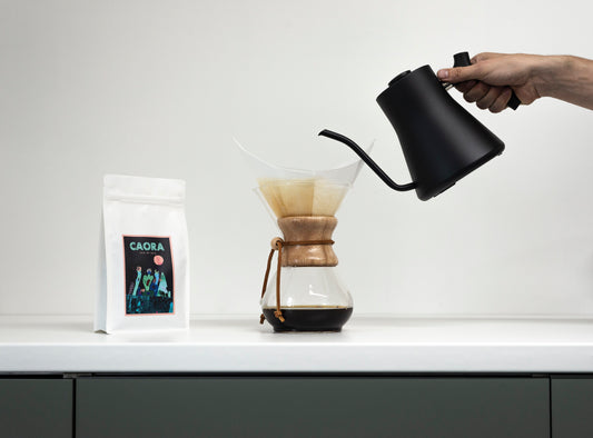 Guatemala - Finca San Lorenzo